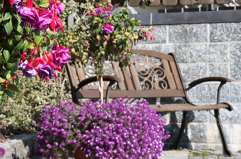 Berggasthof Bayerischer Wald